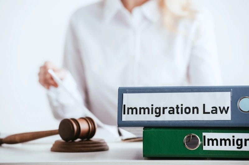 immigration lawyer